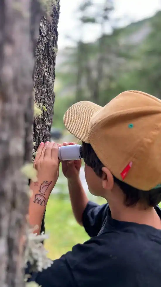 Jack, 10, looking at tree bark